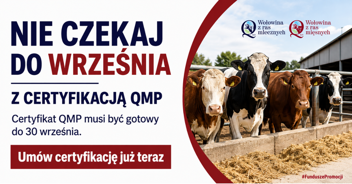 Baner, z&nbsp;lewj strony napis NIE CZEKAJ DO WRZEŚNIA Z CERTYFIKACJĄ QMP. Dalej Certyfikat QMP musi być gotowy do 30 września. Um&oacute;w certyfikację już teraz. Po prawej cztery krowy stojące.