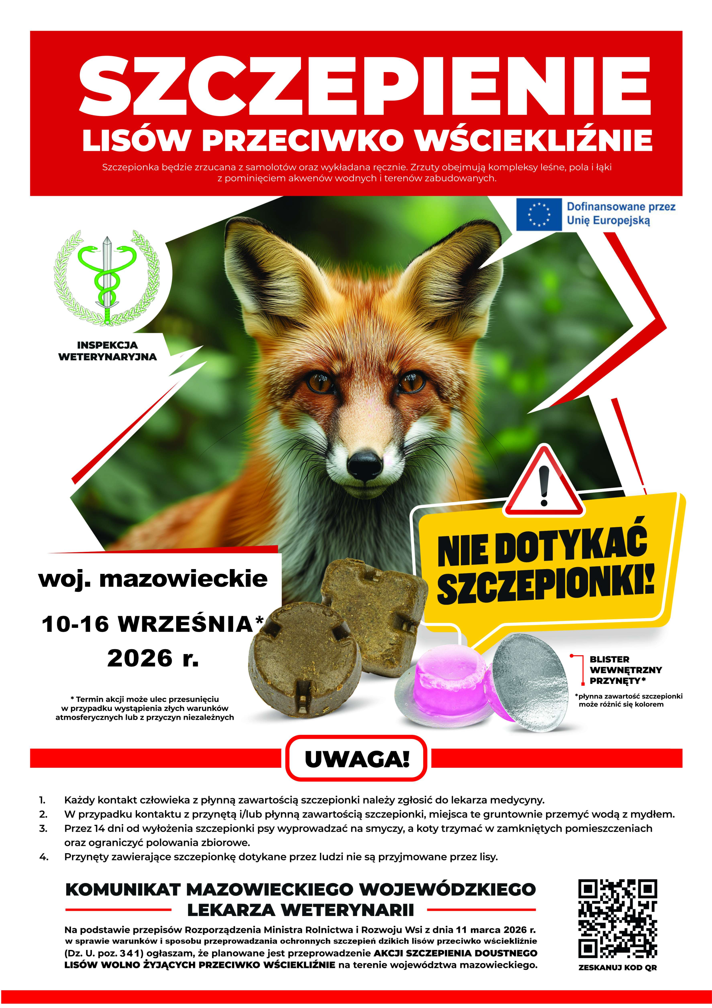 Plakat informacyjny Inspekcji Weterynaryjnej dotyczący akcji szczepienia lis&oacute;w przeciwko wściekliźnie w&nbsp;wojew&oacute;dztwie mazowieckim. W centralnej części znajduje się fotografia lisa oraz&nbsp;zdjęcia r&oacute;żnych rodzaj&oacute;w przynęt zawierających szczepionkę. U g&oacute;ry widnieje czerwony nagł&oacute;wek &bdquo;SZCZEPIENIE LIS&Oacute;W PRZECIWKO WŚCIEKLIŹNIE&rdquo; oraz&nbsp;informacja, że&nbsp;szczepionka będzie zrzucana z&nbsp;samolot&oacute;w i&nbsp;wykładana ręcznie, z&nbsp;pominięciem akwen&oacute;w wodnych i&nbsp;teren&oacute;w zabudowanych. Akcja w&nbsp;wojew&oacute;dztwie mazowieckim zaplanowana jest na&nbsp;10&ndash;16 września 2026 r. Na plakacie znajduje się ostrzeżenie &bdquo;NIE DOTYKAĆ SZCZEPIONKI!&rdquo; oraz&nbsp;zalecenia dotyczące postępowania w&nbsp;przypadku kontaktu ze szczepionką. Przez 14 dni od wyłożenia szczepionki psy należy wyprowadzać na&nbsp;smyczy, a&nbsp;koty trzymać w&nbsp;zamkniętych pomieszczeniach lub&nbsp;na ogrodzonym terenie. Na dole umieszczono komunikat Mazowieckiego Wojew&oacute;dzkiego Lekarza Weterynarii, logo Inspekcji Weterynaryjnej, oznaczenie dofinansowania przez Unię Europejską oraz&nbsp;kod QR.