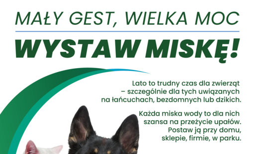 Plakat kampanii „Mały gest, wielka moc. Wystaw miskę!”. Na środku znajdują się biały kot, czarny pies i jeż przy misce z wodą. Plakat zachęca do wystawiania miski z wodą przed domem, sklepem, firmą lub w parku, aby pomóc zwierzętom przetrwać letnie upały 