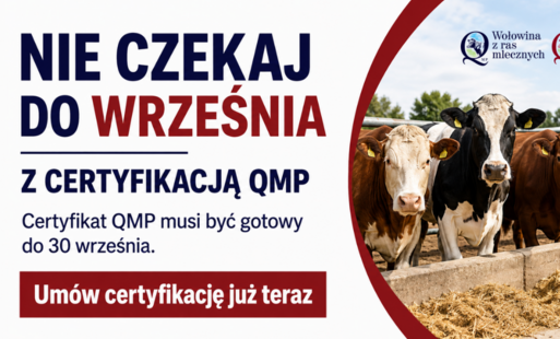 Baner, z lewj strony napis NIE CZEKAJ DO WRZEŚNIA Z CERTYFIKACJĄ QMP. Dalej Certyfikat QMP musi być gotowy do 30 września. Umów certyfikację już teraz. Po prawej cztery krowy stojące.