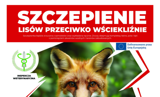 Plakat informacyjny Inspekcji Weterynaryjnej dotyczący akcji szczepienia lisów przeciwko wściekliźnie w województwie mazowieckim. W centralnej części znajduje się fotografia lisa oraz zdjęcia różnych rodzajów przynęt zawierających szczepionkę. U góry widn